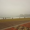 바이널언더그라운드 | 2016 9와 숫자들 부산공연 후기, 셋리스트, 바이널언더그라운드, 광안리, 낙타깡