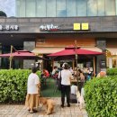 치킨테라스 | 서울숲 깐부 치킨 애견동반 테라스 후기