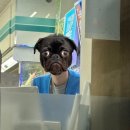 시티앤핏 복싱 마산 삼계점 이미지