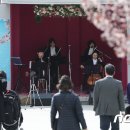 쏠로 7080 라이브 이미지