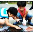 순용농장 이미지