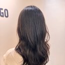 하라고헤어 네이버블로그
