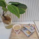 닛시헤어 이미지