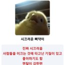 샤브파티