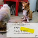 놀자 - 부평구 열우물로 26 | 놀자
