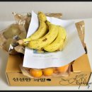 과일집딸래미 이미지