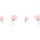 천상의포도농원
