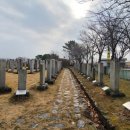 인천향교 앞 비석군 | 갑곶돈대, 강화비석군 [유적·사적] - 강화도 여행