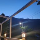 황금알부동산중개 이미지