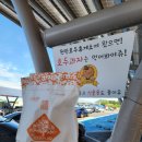 뉴카니발R리무진 프레지던트 3인승 매입 후기 김해중고차상사
