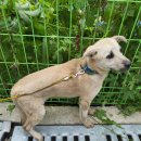 흥전4리마을회관 이미지