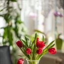 동명전문요양원 | 부모님 위한 광주시 서구 요양원 추천 동명전문요양원 추천하는 최적의 선택