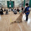 외궁초등학교 이미지