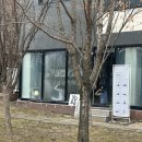 신동 원데이요가 후기 (요가인투더피플)