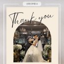 Wedding 14. 파스텔무드 아이폰스냅 계약 후기