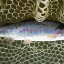 활주로낚시터 이미지