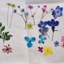 책달샘숲속작은도서관 이미지