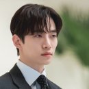 랜드핏 이미지