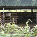 화랑 행정사 사무소 이미지