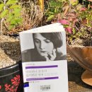 카타리나 블룸의 잃어버린 명예 - 하인리히 뵐 이미지