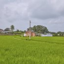 도니울마을 이미지