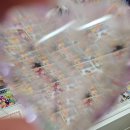 용지각(버스정류장) | 뚜벅이 추천 강릉 가볼만 한 곳<제제스토어, 강다방이야기공장>