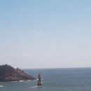 군산복싱체육관(권투) 이미지