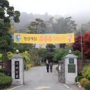 청성애원(주) 이미지