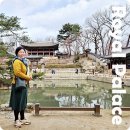 효명인쇄공사 | 창덕궁 후원 비원 왕실정원 현장예약 관람 후기 봄 자유관람 병행기간