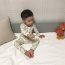 프롬퍼피 이미지