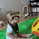 자연해나어린이집 | 히히호호 1회차 후기 ( 6개월 아기 수업 / 문센 아니고 방문수업을 선택한 이유)