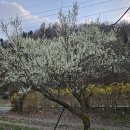 종합농장 이미지