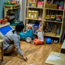 자라는 씨앗 이미지