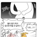 김밥마는집