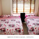 기러기민박 이미지