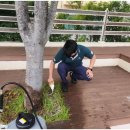 그린라인 이미지