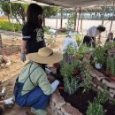 도마초등학교 이미지