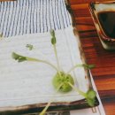 브레인스토밍센터 이미지