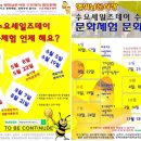 수요 문화 체험 이미지