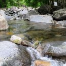 늘푸른계곡 이미지