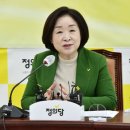 심상정 카카오 검색결과