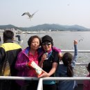 용호초교 이미지