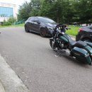 팀 팻보이 이미지