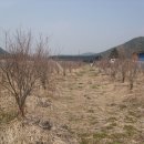 세신농장 이미지