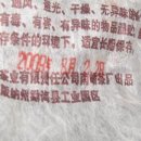 일향 Daum카페