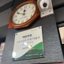 태풍반점 이미지