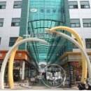 창선상가 이미지