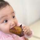 개미농장 2농장 이미지