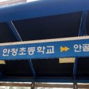 안청초등학교 이미지