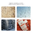 베프 바이오 이미지